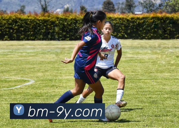 九游官网APP 体育赛事宣传图